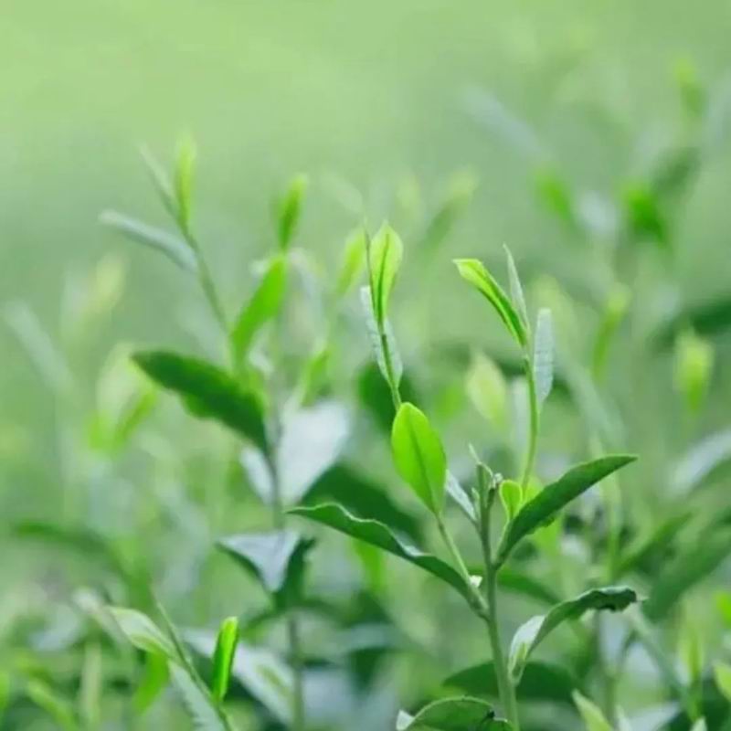 1681975476842044.jpg 640 (1).jpg